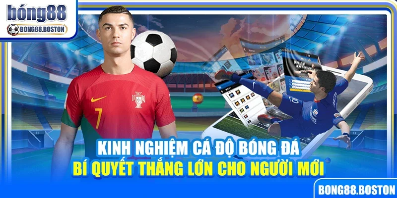 Kinh nghiệm cá độ bóng đá – Bí quyết thắng lớn cho người mới