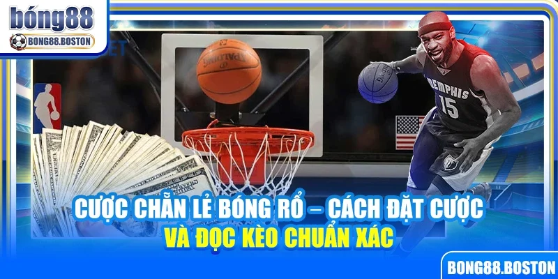 Cược chẵn lẻ bóng rổ – Cách đặt cược và đọc kèo chuẩn xác