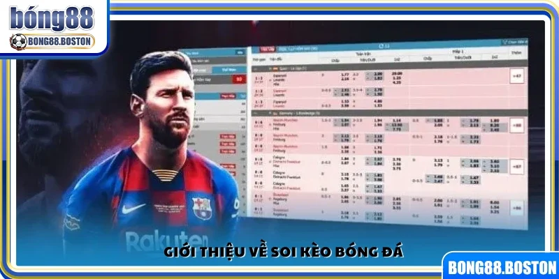 Giới thiệu sơ lược về cách soi kèo