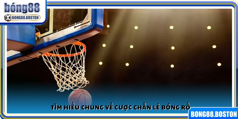Giới thiệu khái quát về hình thức cược chẵn lẻ bóng rổ