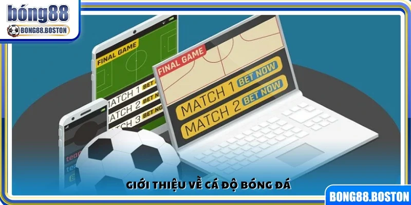Tìm hiểu sơ lược về hoạt động cá độ bóng đá