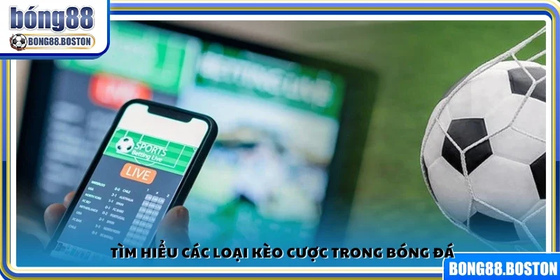 Khám phá cụ thể từng hình thức kèo cược trong bóng đá
