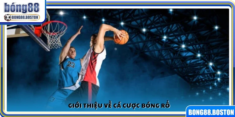 Tìm hiểu tổng quan về hình thức cá cược bóng rổ
