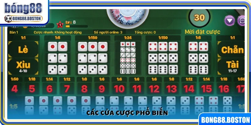Những lựa chọn cửa cược thường gặp