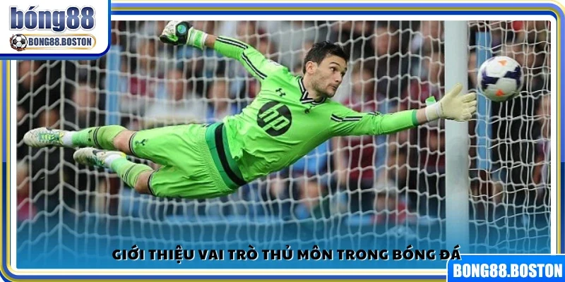 Giới thiệu vai trò thủ môn trong bóng đá