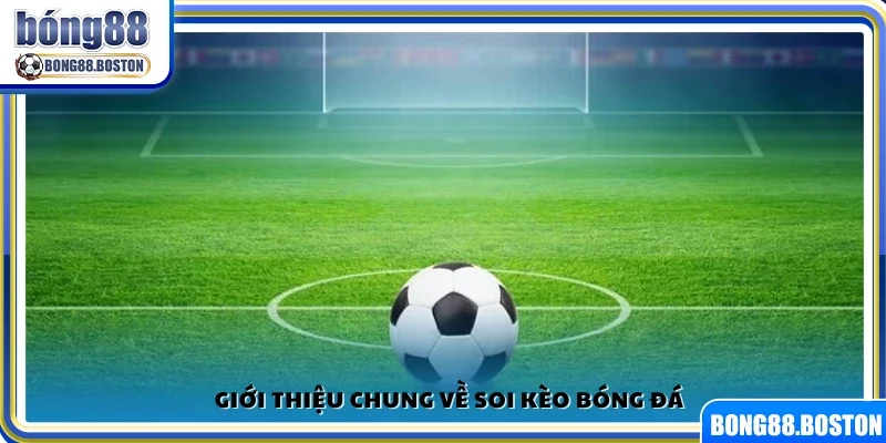 Khái quát cơ bản về hoạt động soi kèo trong bóng đá